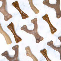 Nylabone Gourmet Style Wishbone Strong Chew Toy for Puppies, Peanut Butter Flavor