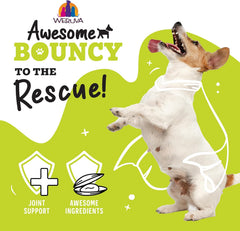 Weruva Awesome Bouncy Wet Dog Food, Beef & Brown Rice