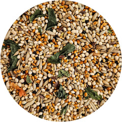 Vitamin Enriched Finch Food