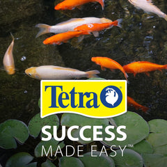 Tetra 77188 Algae Control