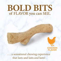 Nylabone Gourmet Style Stick Strong Chew Toy for Puppies, Chicken Flavor, Medium - Up to 35 lbs, 1 Count