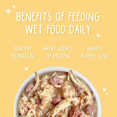 Weruva Puppy, Chicken Formula in Gravy (Pack of 10)