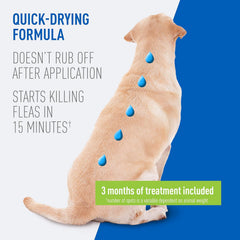ADAMS Plus Flea & Tick Prevention Spot On for Dogs