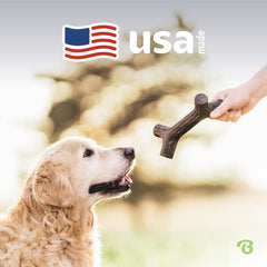 Benebone Maplestick Durable Dog Chew Toy for Aggressive Chewers, Real Maplewood, Made in USA