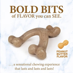 Nylabone Gourmet Style Wishbone Strong Chew Toy for Puppies, Peanut Butter Flavor
