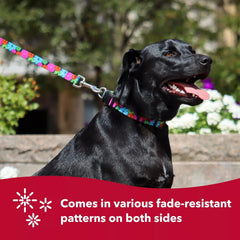 Coastal Pet Styles Adjustable Dog Collar - Stylish Patterned Fabrics - Snap-Lock Buckle - Adjustable Dog Collar - For Small, Medium or Large Dogs - Special Paws