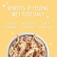 Weruva Puppy, Chicken Formula in Gravy (Pack of 8)