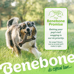 Benebone Wishbone Durable Dog Chew Toy for Aggressive Chewers, Real Chicken, Made in USA, for Any breed