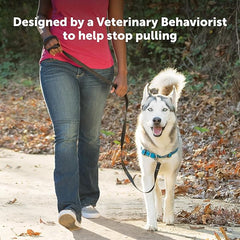PetSafe Easy Walk Deluxe Dog Harness, No Pull Dog Harness – Perfect for Leash & Harness Training – Stops Pets from Pulling and Choking on Walks – Medium/Large