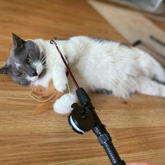 SPOT Fishing Rod 'N Reel Kitty Teaser - Cat Toy Fishing Pole Casts a Line Over 7 Feet with Working Reel Locks in Line When You Make Your Catch, Feather End Teases and Entices Cats to Pounce and Chase