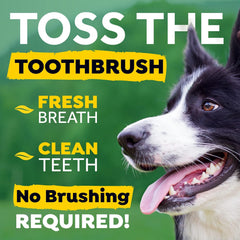 TropiClean Fresh Breath Water Additive for Dogs | Dog Breath Freshener & Teeth Cleaning Solution |