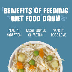 Weruva Classic Dog Food, Grandma's Chicken Soup with Chicken Breast & Veggies