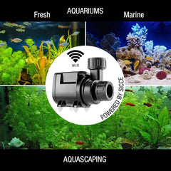 SICCE Syncra SDC 3.0 Water Pump 260-800 gph WIFI Apex Controllable Aquarium DC Return with Controller | Quiet Freshwater Saltwater Fish Tank Sump Pond