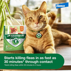 Advantage XD Cat Flea Prevention & Treatment For Cats | 1-Topical Dose, 2-Months of Protection Per Dose