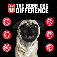 Boss Dog ProPaws Red Treat Tray 2 Pack