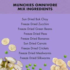 Zilla Desert Habitat Accessory Kit, Starter Kit for Reptiles, Easy Start for Desert-Dwelling Reptiles, Includes Lighting, Bedding and Food, Ideal for Size 10G Terrariums