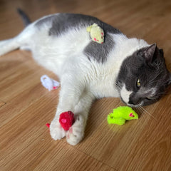 SPOT Colored Plush Mice Cat Toy - Rattle and Catnip Toy for Indoor Cats and Kittens - Bright Colored Classic Toy for Batting and Chasing Around - Fun Entertainment for Hours - 4.5inch Assorted 4-Pack