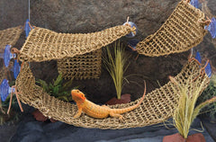 PENN-PLAX Reptology Lizard Lounger Corner Triangle – 100% Natural Seagrass Fiber – Great for Bearded Dragons, Anoles, Geckos, Iguanas, and Other Reptiles