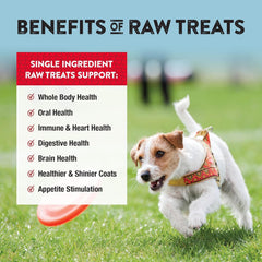 Northwest Naturals Raw Rewards Freeze-Dried Beef Heart Treats for Dogs and Cats - Bite-Sized Pieces - Healthy, 1 Ingredient, Human Grade Pet Food, All Natural, Proudly Made in USA