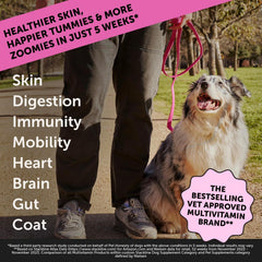 Pet Honesty Dog Multivitamin Max Strength - 15 in 1 Vitamins for Health & Heart - Essentials Fish Oil, Glucosamine, Probiotics, Omega Fish Oil - Multivitamins Supplements for Skin and Coat