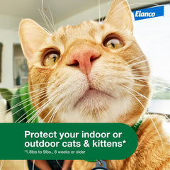 Advantage XD Cat Flea Prevention & Treatment For Cats | 1-Topical Dose, 2-Months of Protection Per Dose