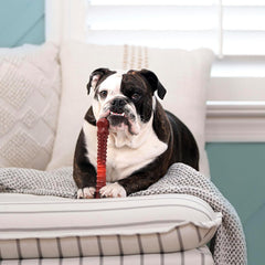 Nylabone Textured Bone Power Chew Toy for Dogs, Durable & Tough Dog Toys for Aggressive Chewers, Beef Jerky Flavor