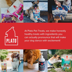 PLATO Pet Treats Dog Treats - Air-Dried Jerky for Dogs - Delicious, Real Meat Dog Treats - Grain Free - Supports Healthy Digestion - Chicken Jerky with Pumpkin