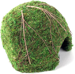 Galápagos Mossy Dome Hide, Vined