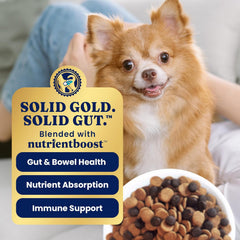 Solid Gold Toy & Small Breed Dry Dog Food Small Bites – Real Lamb, Grain Free, Gluten Free, High Fiber Healthy Kibble w/Probiotics for Gut Health & Digestion Support– All Ages NutrientBoost 3.75-lb