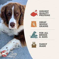 Fromm Four-Star Nutritionals Trout & Whitefish Dog Food - Premium Dry Dog Food - Trout Recipe