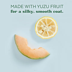 TropiClean Essentials Yuzu Fruit Moisturizing Shampoo for Dogs | Moisturize The Coat |