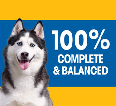 Pedigree High Protein Adult Dry Dog Food Beef and Lamb Flavor Dog Kibble 44 lb