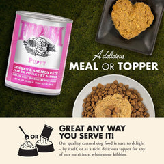 Fromm Classic Pate Dog Food - Premium Wet Dog Food - Case of 12 Cans