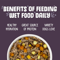 Weruva Classic Dog Food, Steak Frites with Beef, Pumpkin & Sweet Potato in Gravy