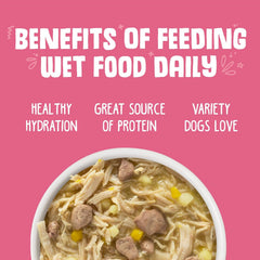 Weruva Classic Dog Food, Amazon Livin' with Chicken Breast & Chicken Liver in Pumpkin Soup
