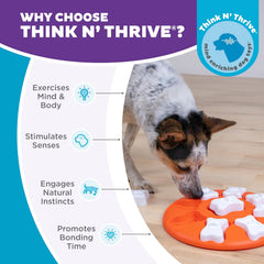 Nina Ottosson Dog Smart Treat Puzzle Enrichment Toy, Level 1 Beginner, Orange