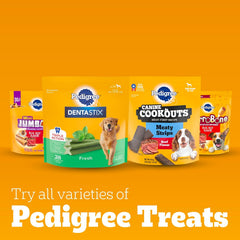 Pedigree Dentastix Large Breed Dog Treats, Original Flavor, 1.66 lb. Bag (32 Treats)