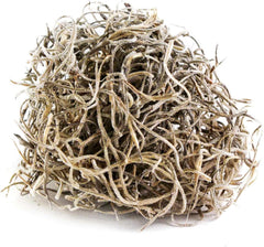 Galápagos (05351) Arid Environment Terrarium Kit Ideal for Reptiles, Amphibians, & Small Critters, 4.5 QT Box, Natural