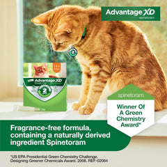 Advantage XD Cat Flea Prevention & Treatment For Cats | 2-Topical Doses, 2-Months of Protection Per Dose