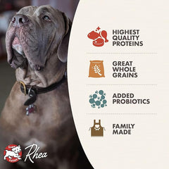 Fromm Classic Adult Large & Giant Breed Dog Food - Premium Dry Dog Food for Large & Giant Breeds - Chicken Recipe
