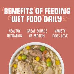 Weruva Classic Dog Food, Jammin' Salmon with Chicken & Salmon in Gravy
