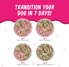 Weruva Best Fido Friend Fun Size Meals for Dogs, Im in Luck 2.75-oz(Pack of 12)