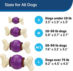 PetSafe® Busy Buddy® Bouncy Bone™, Treat Holding Dog Toy