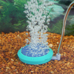 Penn-Plax Aquarium Bubble Disk Aerator - Air Pump Accessories – For Fish Tanks