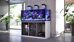 Red Sea Reef SPEC Aquarium Carbon | Highly Activated Charcoal for Aquariums and Fish Tanks Freshwater Saltwater Marine