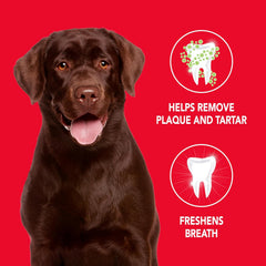 Petrodex Toothpaste for Dogs and Puppies, Cleans Teeth and Fights Bad Breath, Reduces Plaque and Tartar Formation, 2.5oz