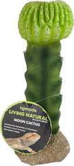 Multi Pet 48593325: Komodo Cactus Plant Moon, 7.5In