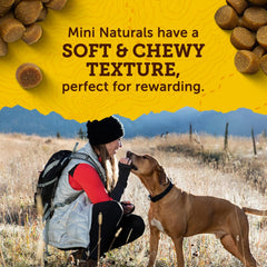 Zuke’s Mini Naturals Dog Training Treats for Dogs of All the Sizes, Pet Treats made with Real Peanut Butter