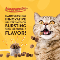 NaturVet Scoopables Cat Digestive Support - Digestive Enzymes for Cats with Probiotic - Supports Diet Change, Sensitive Stomachs & Healthy Digestive Tract - Salmon Flavored