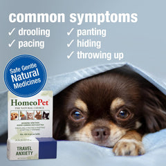 HomeoPet Travel Anxiety Relief, Safe and Natural Pet-Calming Relief Supplement for Cats, Dogs, and Other Small Animals, 15 Milliliters